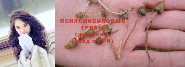 кокаин Белокуриха