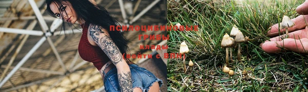 кокаин Белокуриха